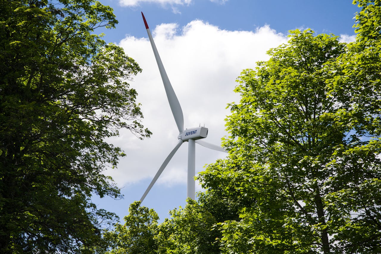 Wind turbine amidst a green forest under a clear blue sky, symbolizing renewable energy.